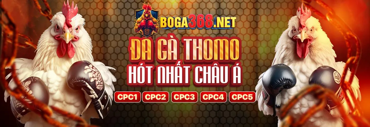 Sảnh Đá Gà Trực Tuyến 789vg Đầy Kịch Tính
